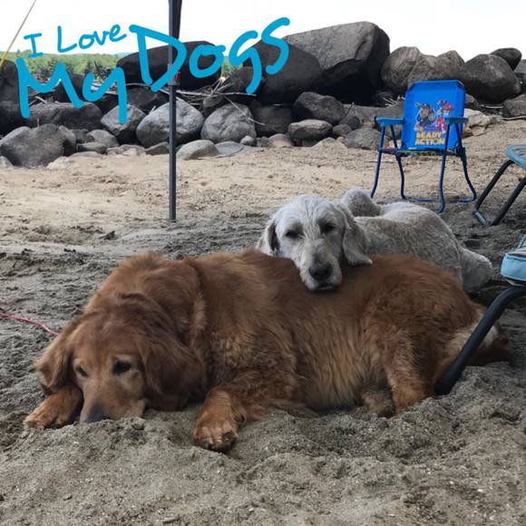 Meet your Posher, Danielle - Picture 1 of 1